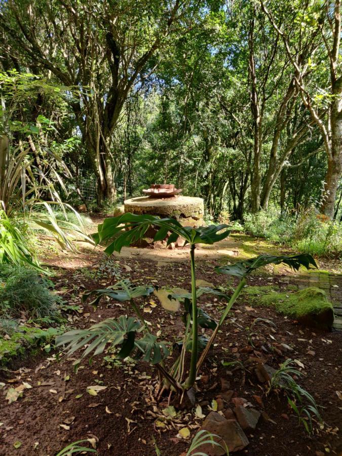 Old Pine Cabin Karkloof Yarrow المظهر الخارجي الصورة