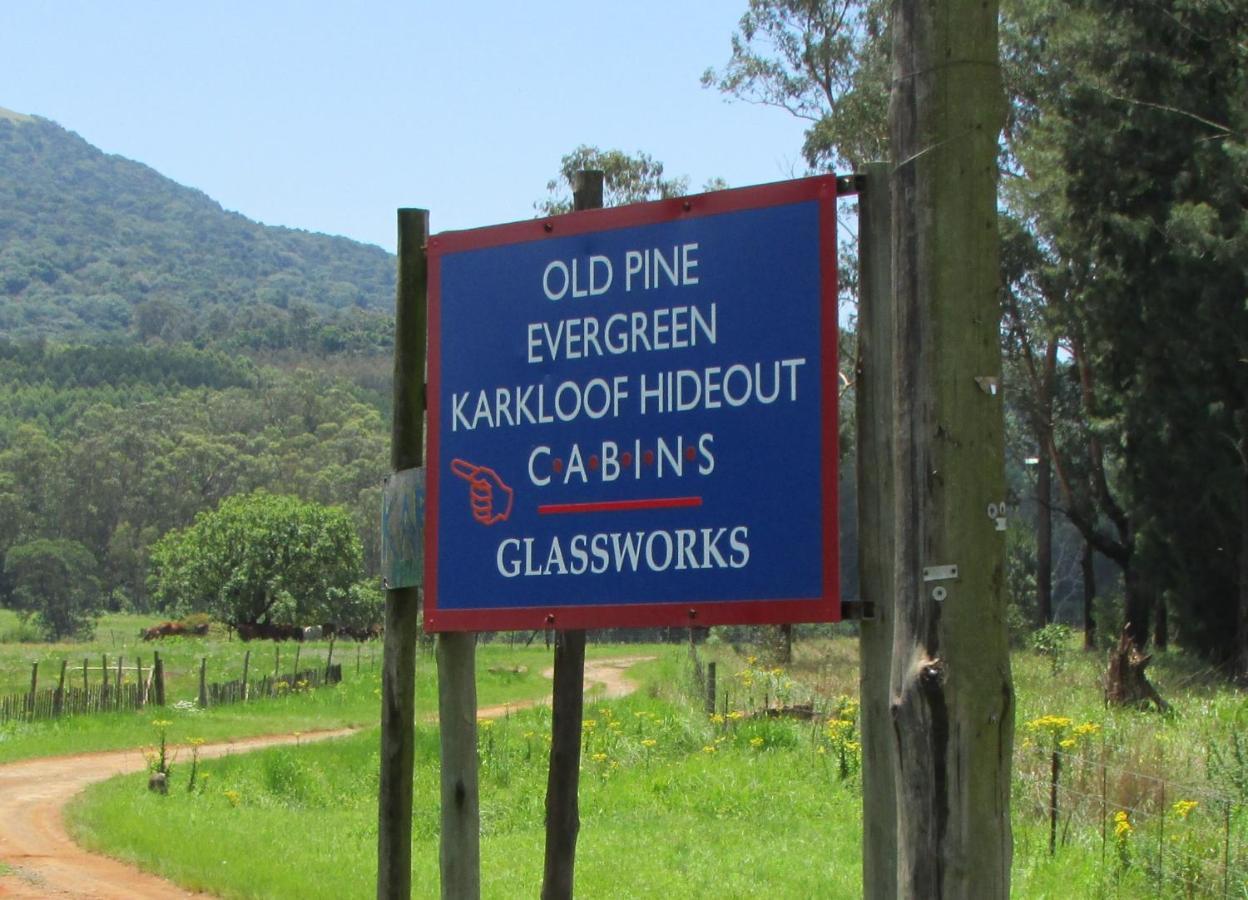 Old Pine Cabin Karkloof Yarrow المظهر الخارجي الصورة