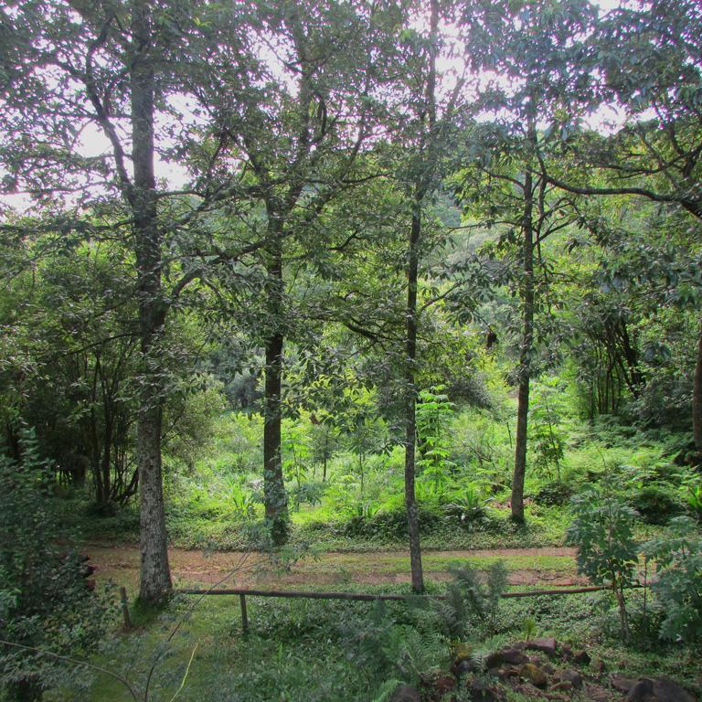 Old Pine Cabin Karkloof Yarrow المظهر الخارجي الصورة