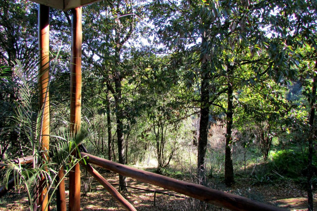 Old Pine Cabin Karkloof Yarrow المظهر الخارجي الصورة